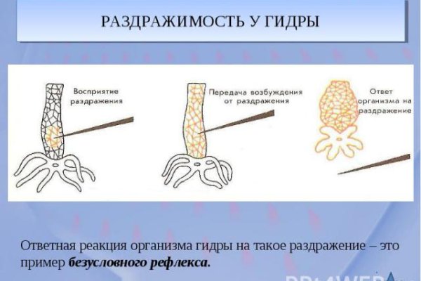 Кракен сайт работает