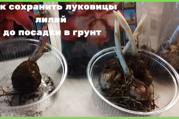 Кракен маркетплейс что там