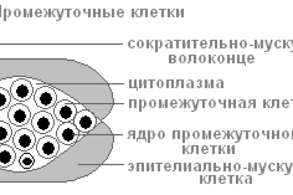 Кракен безопасный вход