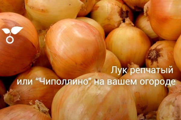 Кракен сайт kr2web